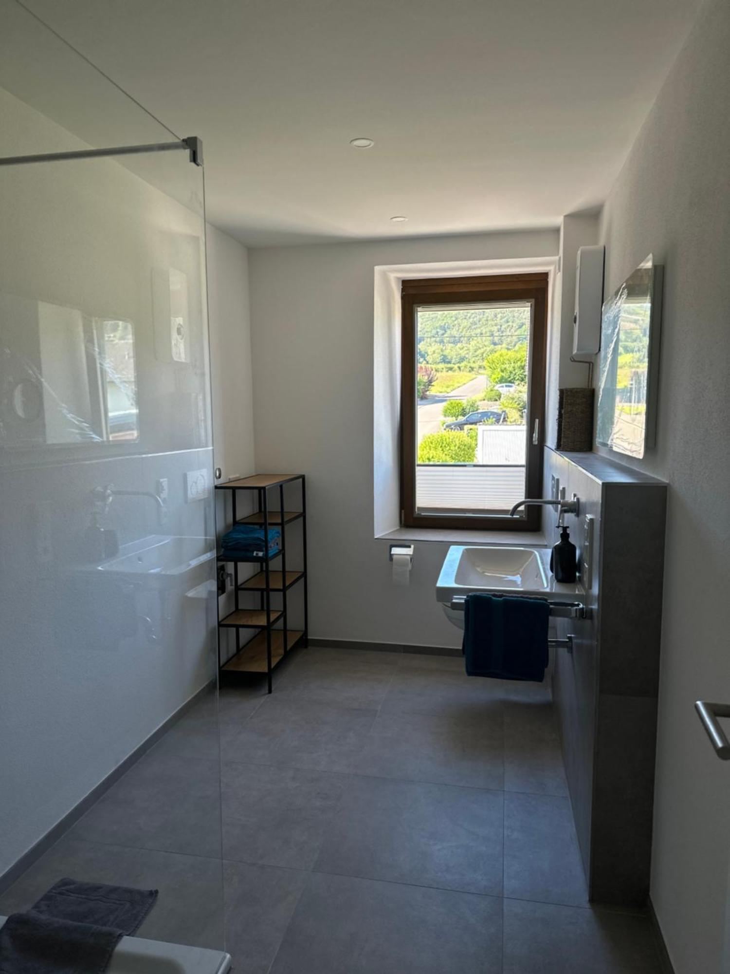 Moselappartements By Weingut Marco Adamy Lösnich Buitenkant foto