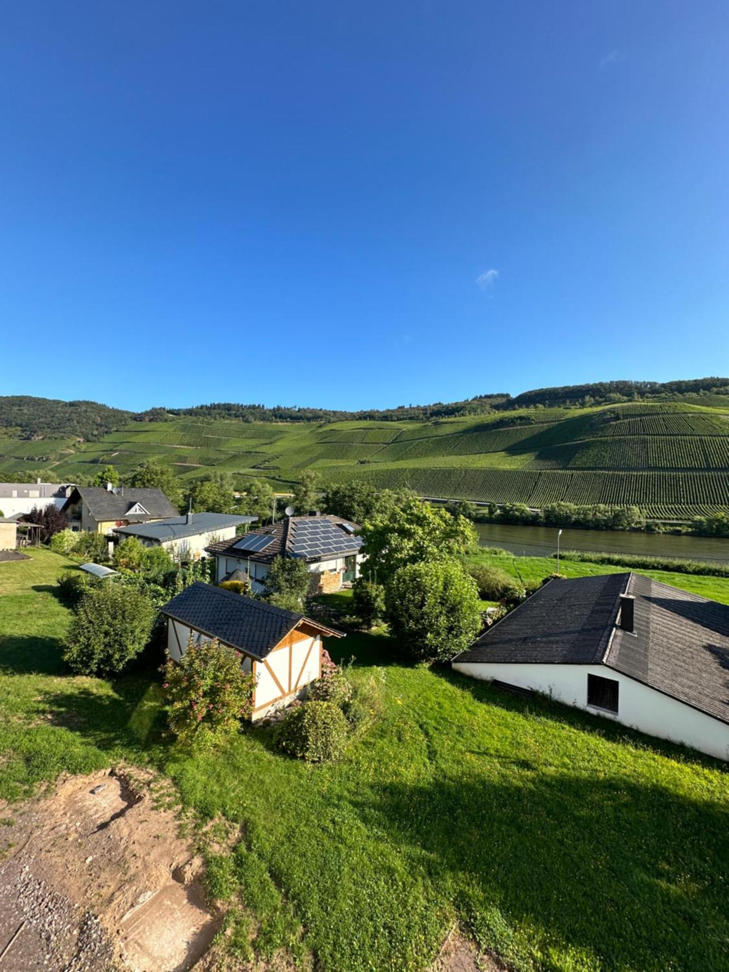 Moselappartements By Weingut Marco Adamy Lösnich Buitenkant foto