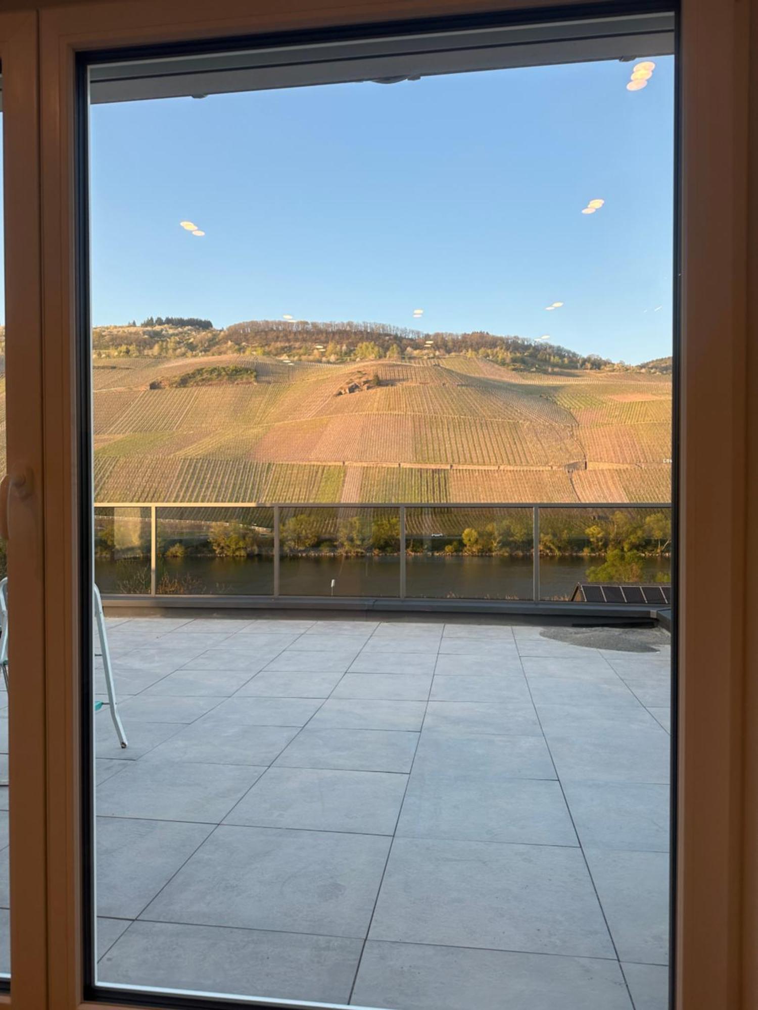 Moselappartements By Weingut Marco Adamy Lösnich Buitenkant foto