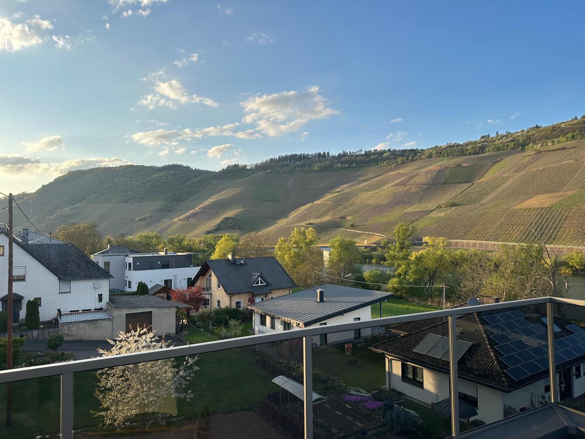 Moselappartements By Weingut Marco Adamy Lösnich Buitenkant foto